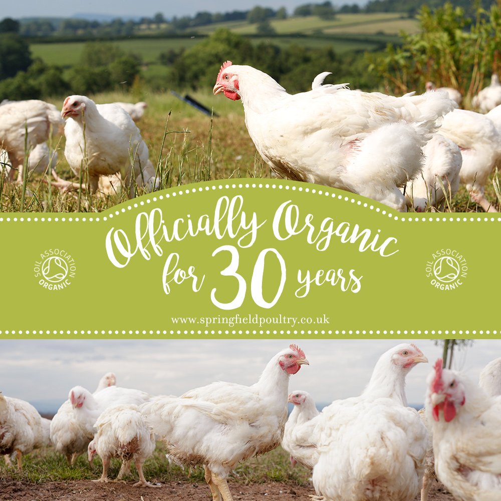 officially 30 years organic at Springfield poultry
